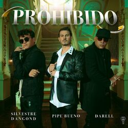 Cover of Prohibido