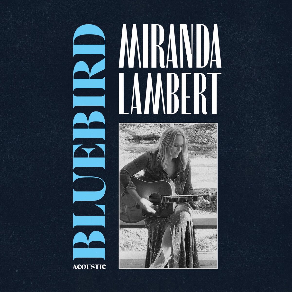 Album cover of Bluebird