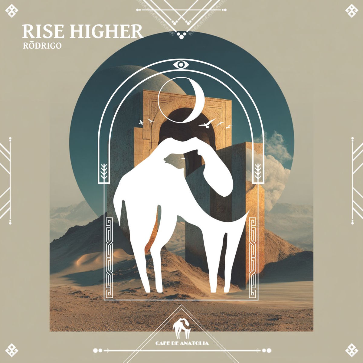 Album cover of Rise Higher