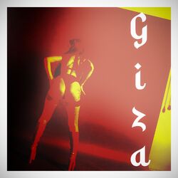Cover of GIZA