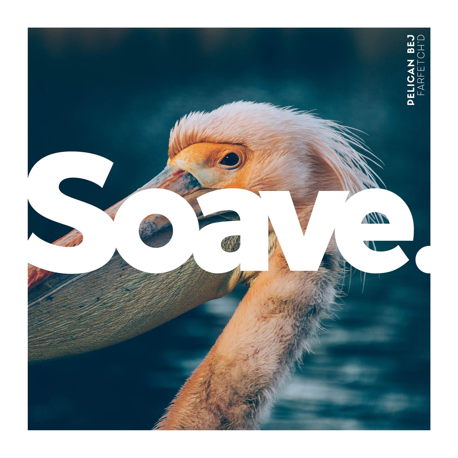 Album cover of Pelican Bej