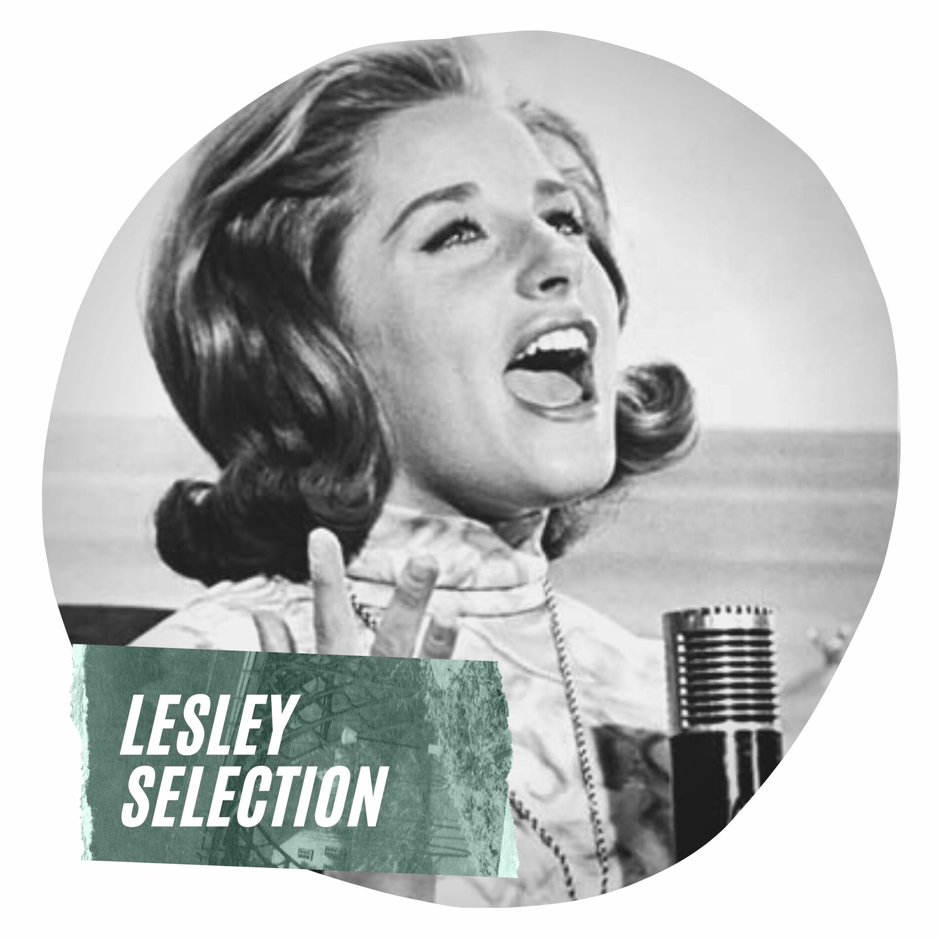 Album cover of Lesley Selection