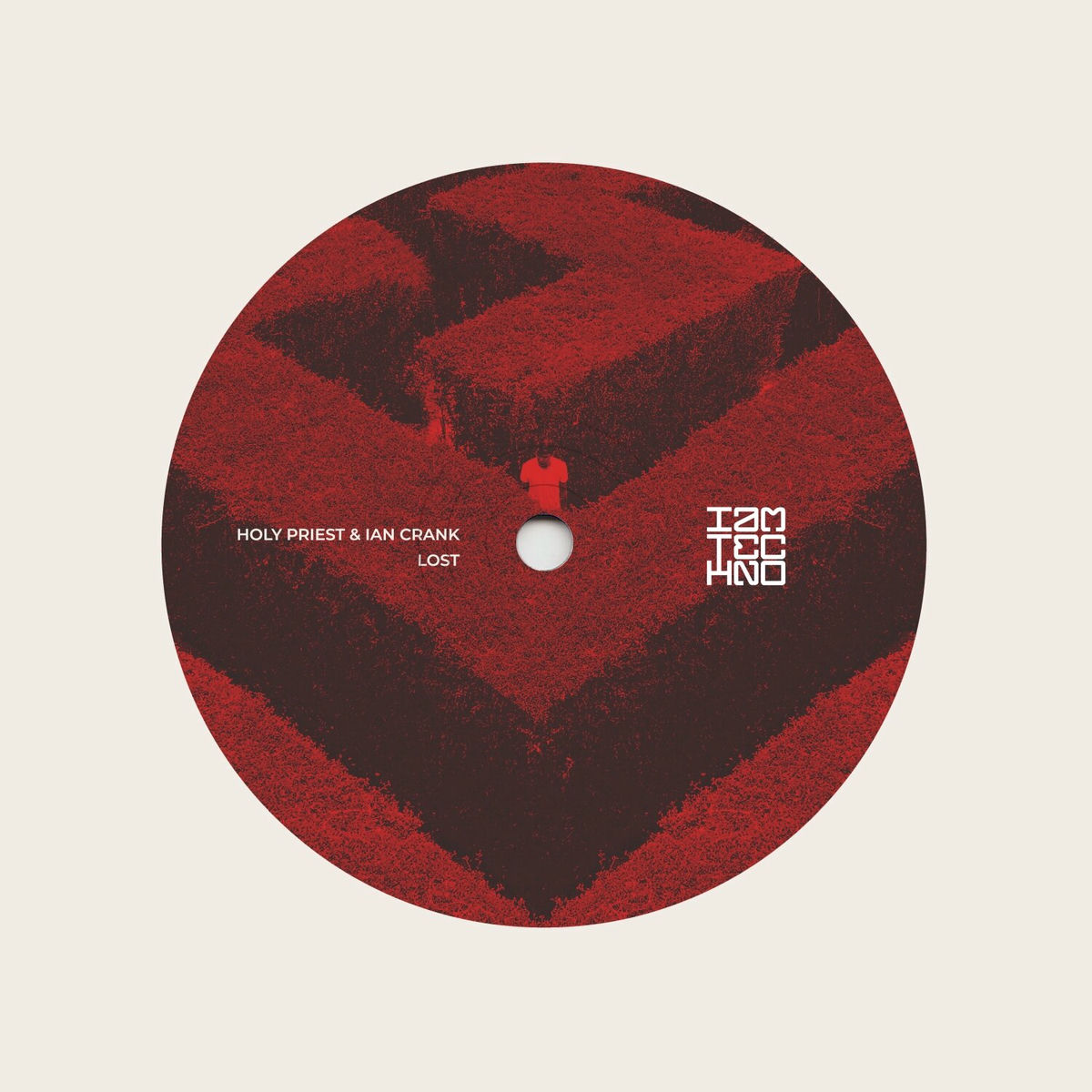 Album cover of Lost