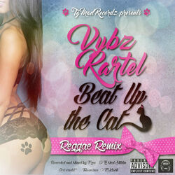 Cover of Beat up the Cat (Reggae Remix)