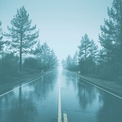 Cover of Echoes of Rainy Evenings