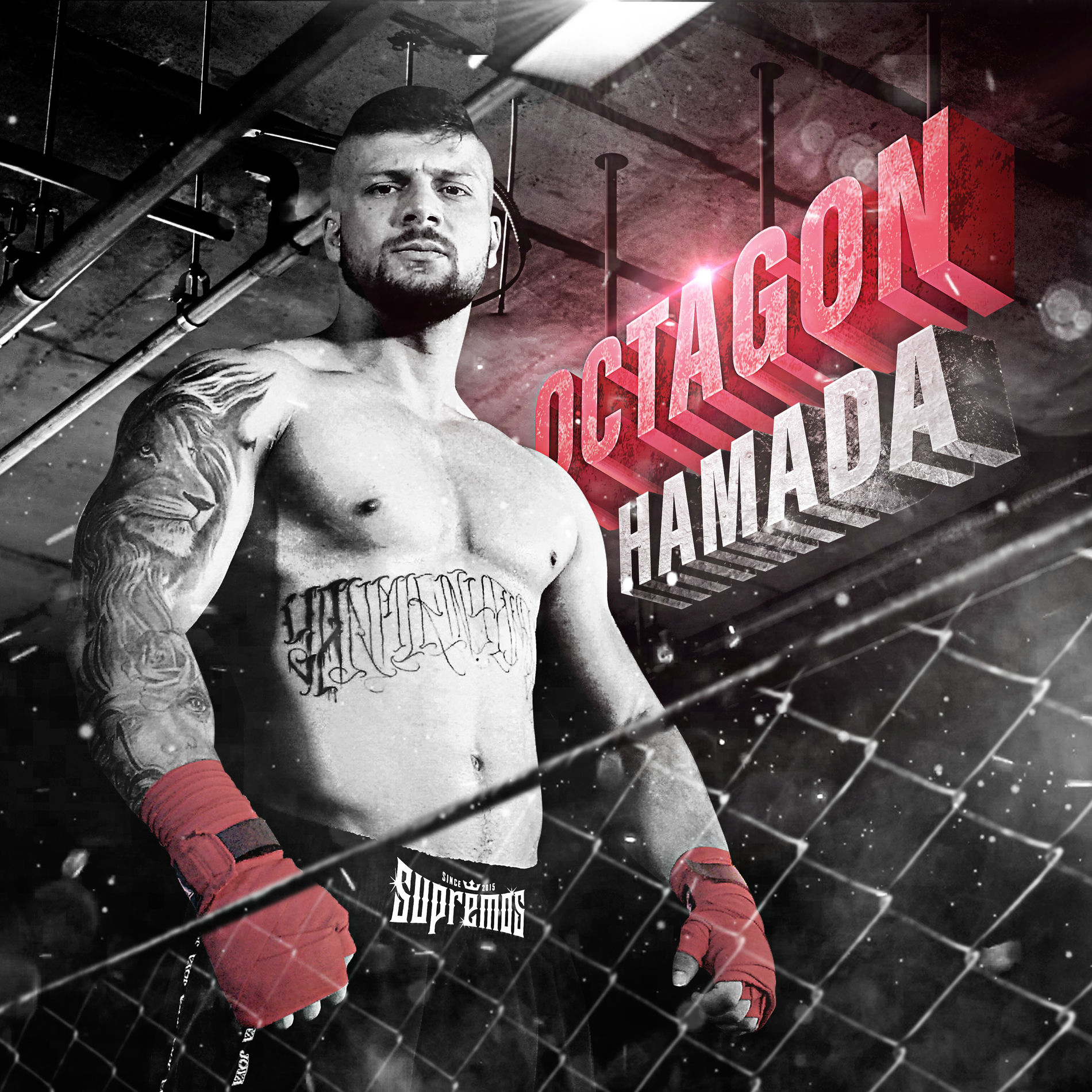 Album cover of Octagon