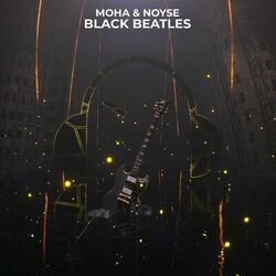 Cover of Black Beatles