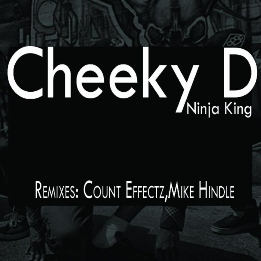 Picture of Ninja King