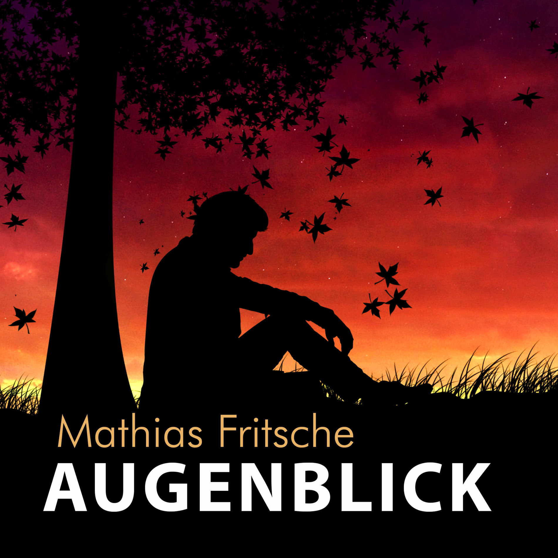 Album cover of Augenblick