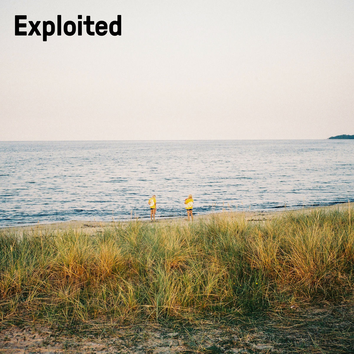 Album cover of The End