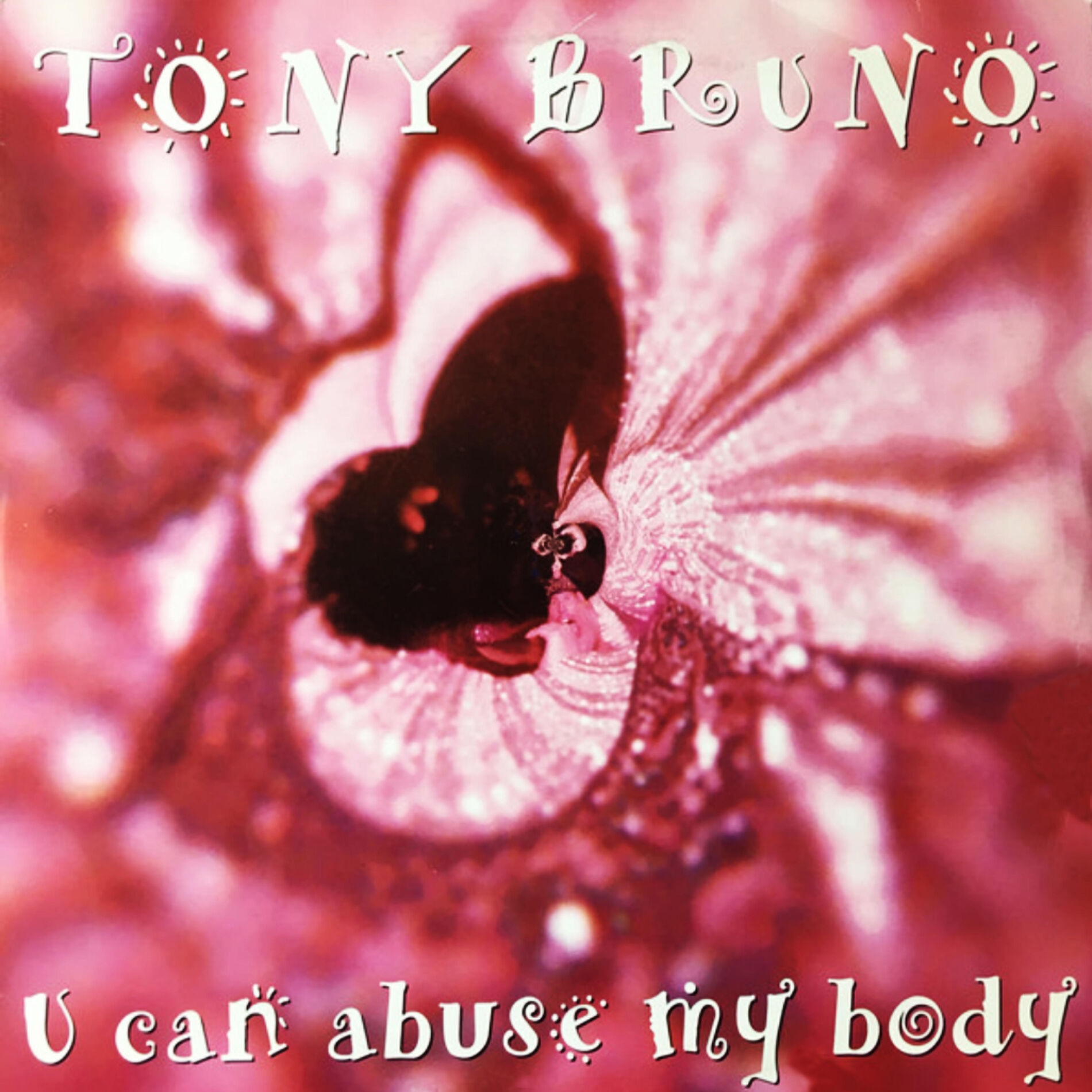 Album cover of You Can Abuse My Body (Single)
