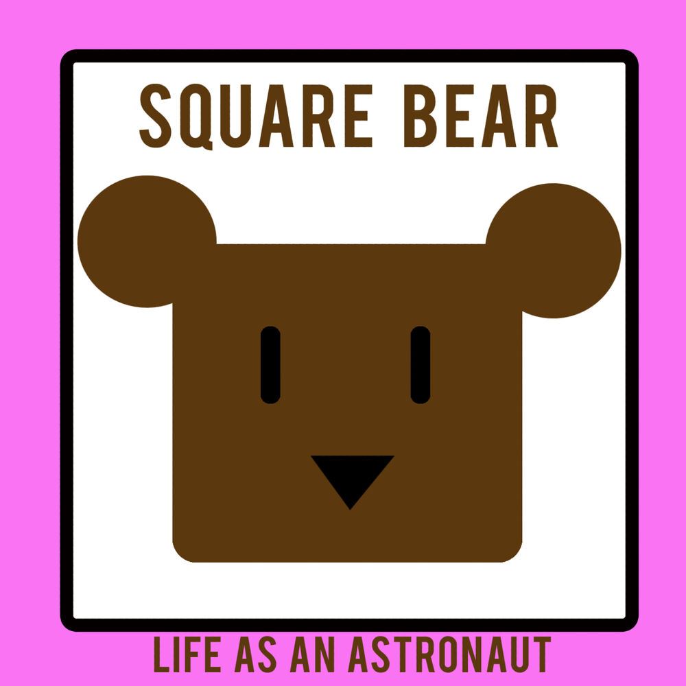 Picture of LIFE AS AN ASTRONAUT