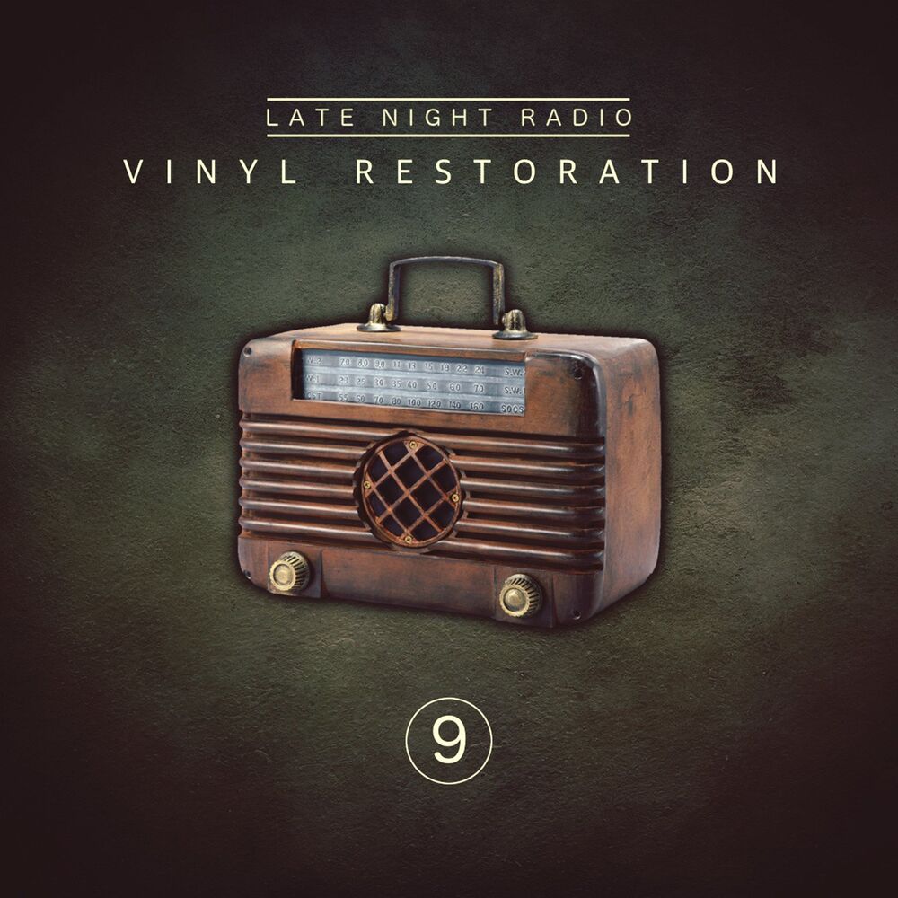 Picture of Vinyl Restoration, Vol. 9