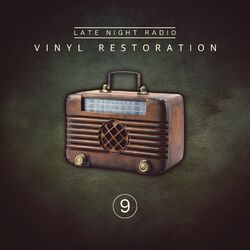 Cover of Vinyl Restoration, Vol. 9