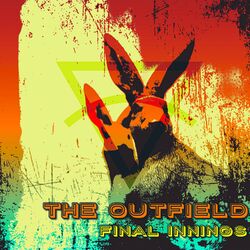 Cover of Final Innings