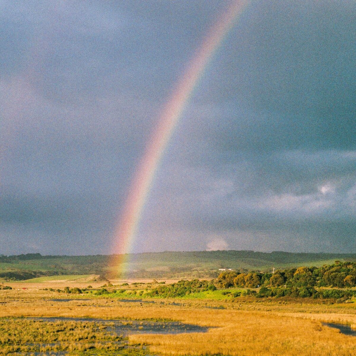 Album cover of In the Sky