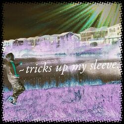 Cover of Tricks Up My Sleeve