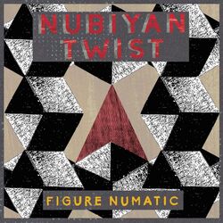 Cover of Figure Numatic