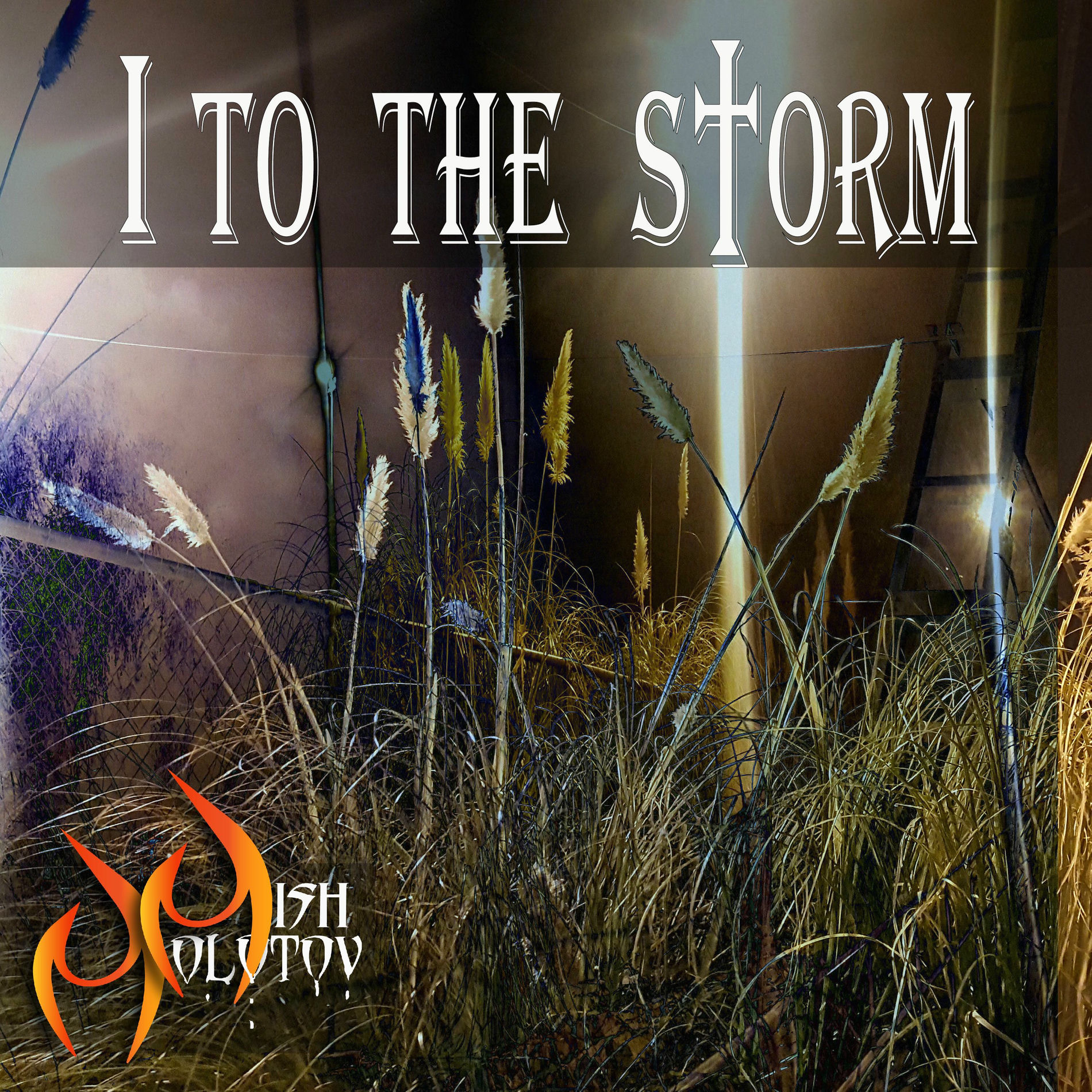 Album cover of I to the Storm