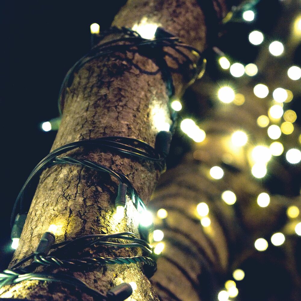 Picture of A Traditional New Years Special: 40 Joyful New Years Songs to Warm Your Heart and Soul