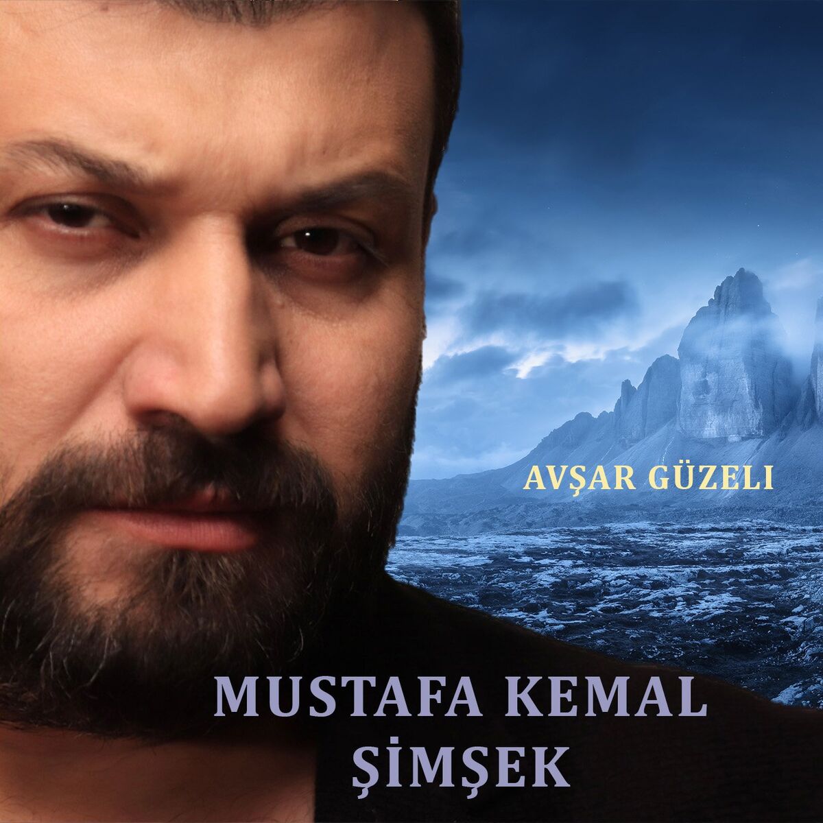 Album cover of Avşar Güzeli