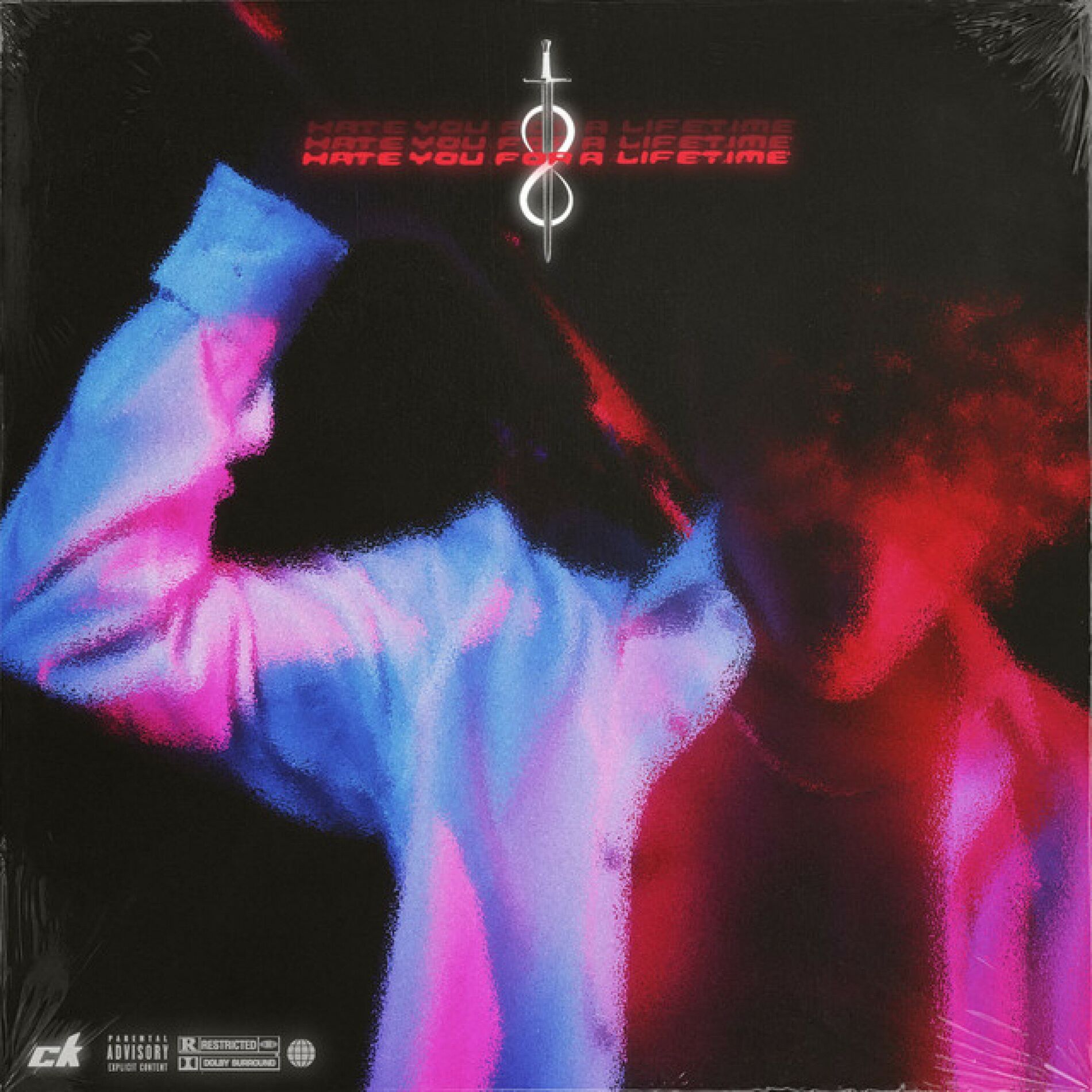 Album cover of Hate You For A Lifetime