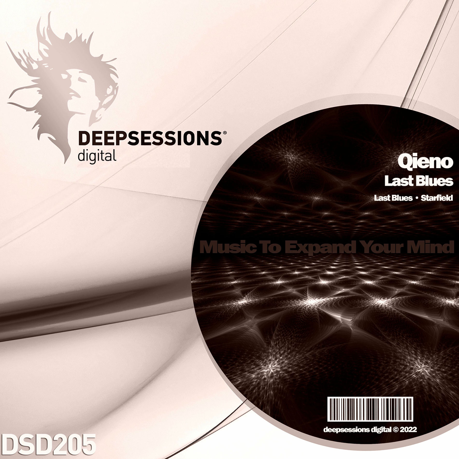 Album cover of Last Blues