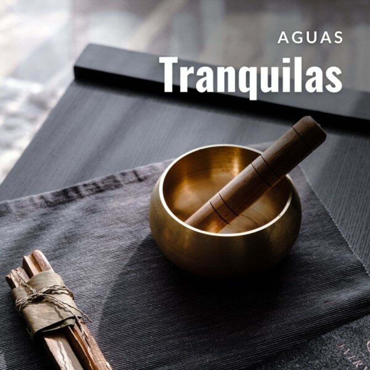 Album cover of Aguas Tranquilas: Música de Masaje