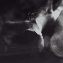 Cover of Fractures