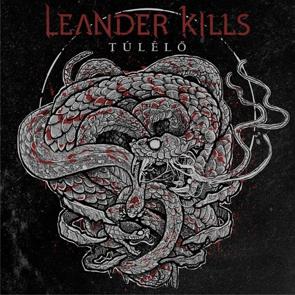 Album cover of Valami Folyjon