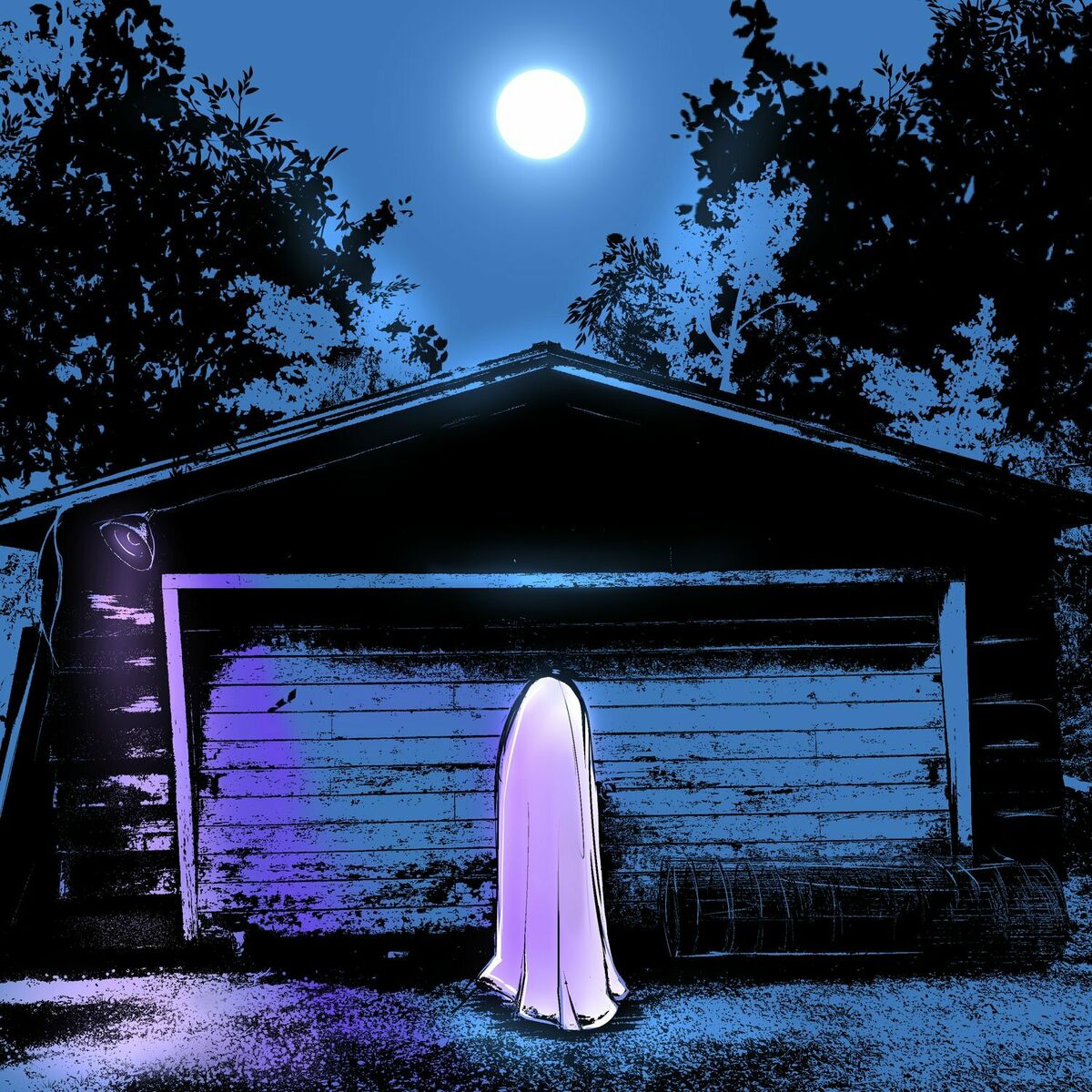 Album cover of Ghost in My Home