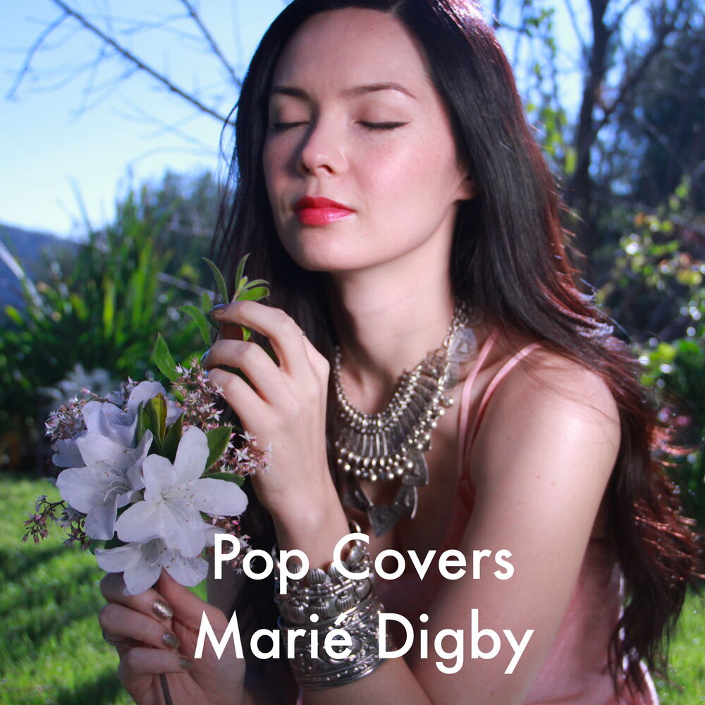 Picture of Pop Covers