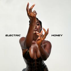 Cover of Electric Honey