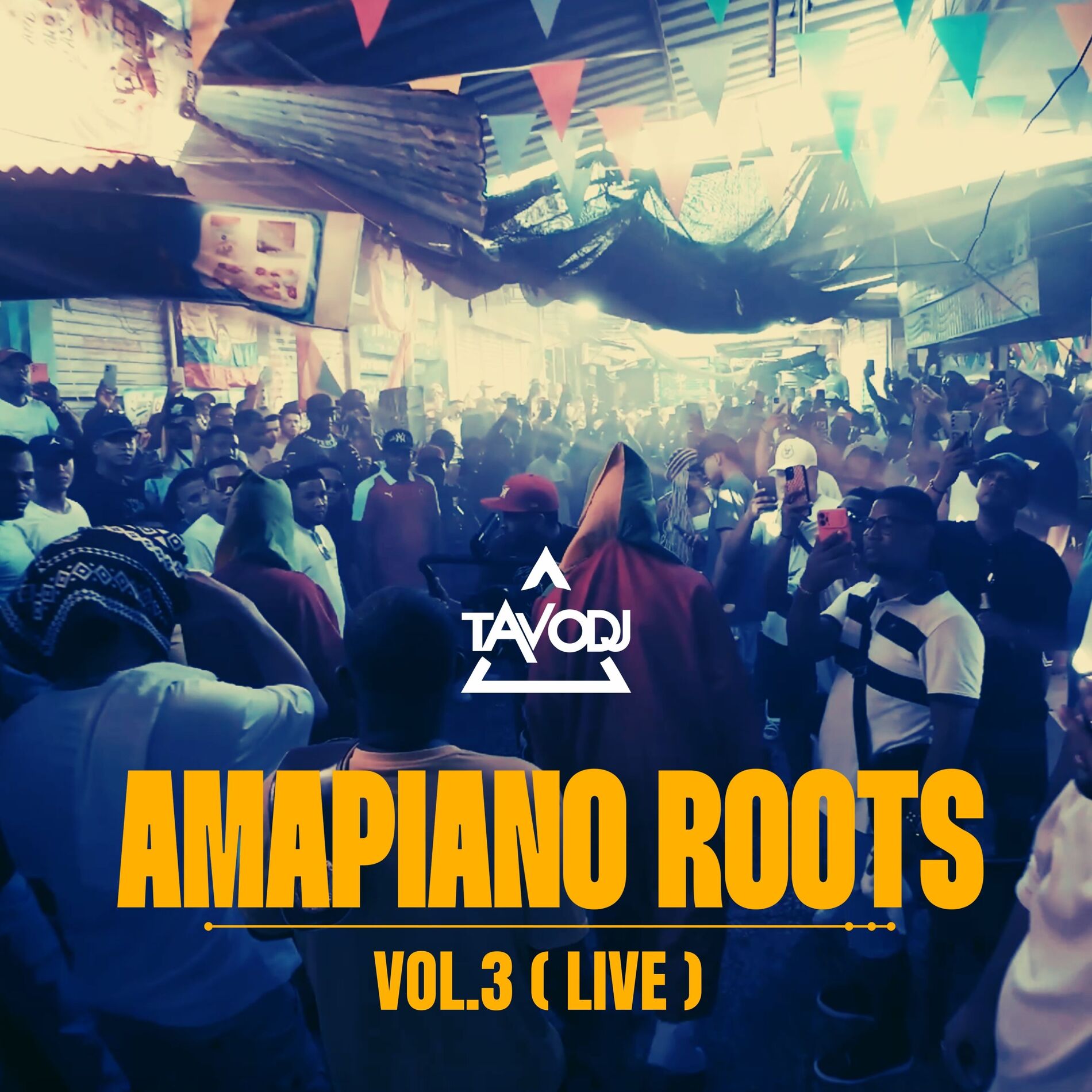 Album cover of Amapiano Roots, Vol. 3 (Live)