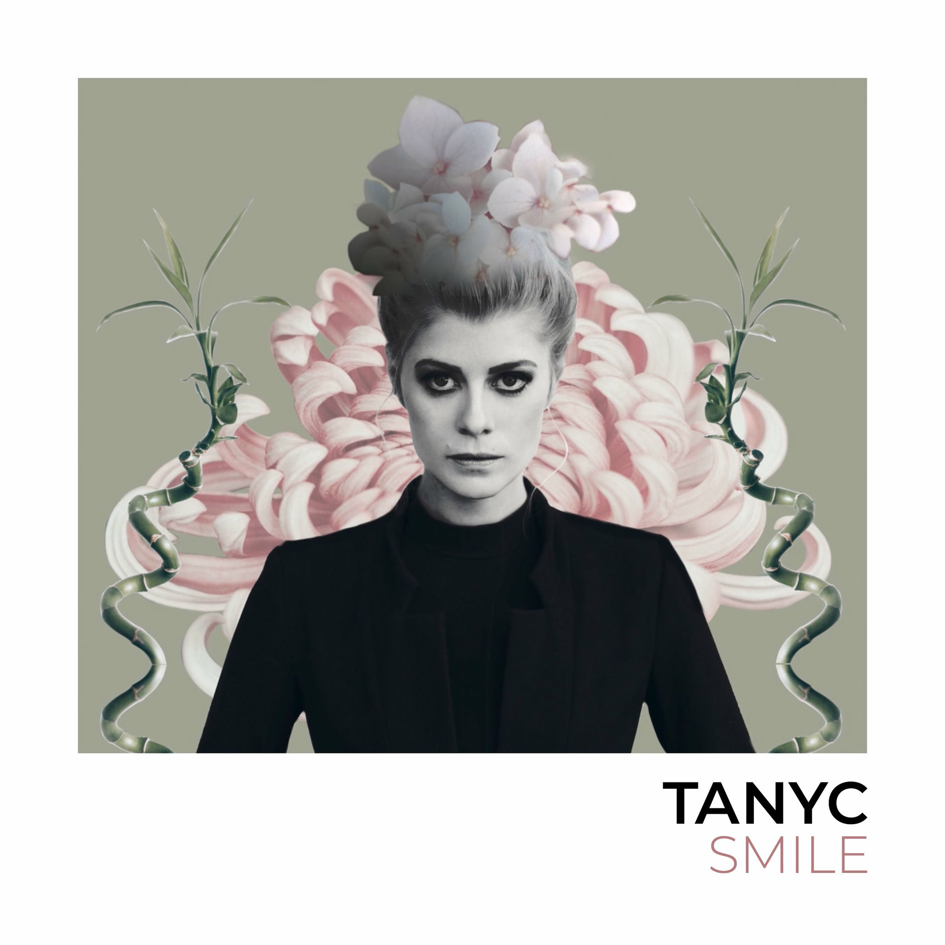 Album cover of Smile