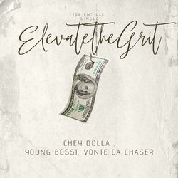 Cover of Elevate the Grit