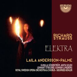 Cover of Richard Strauss: Elektra
