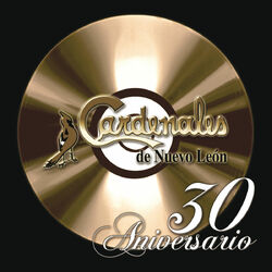 Cover of 30 Aniversario