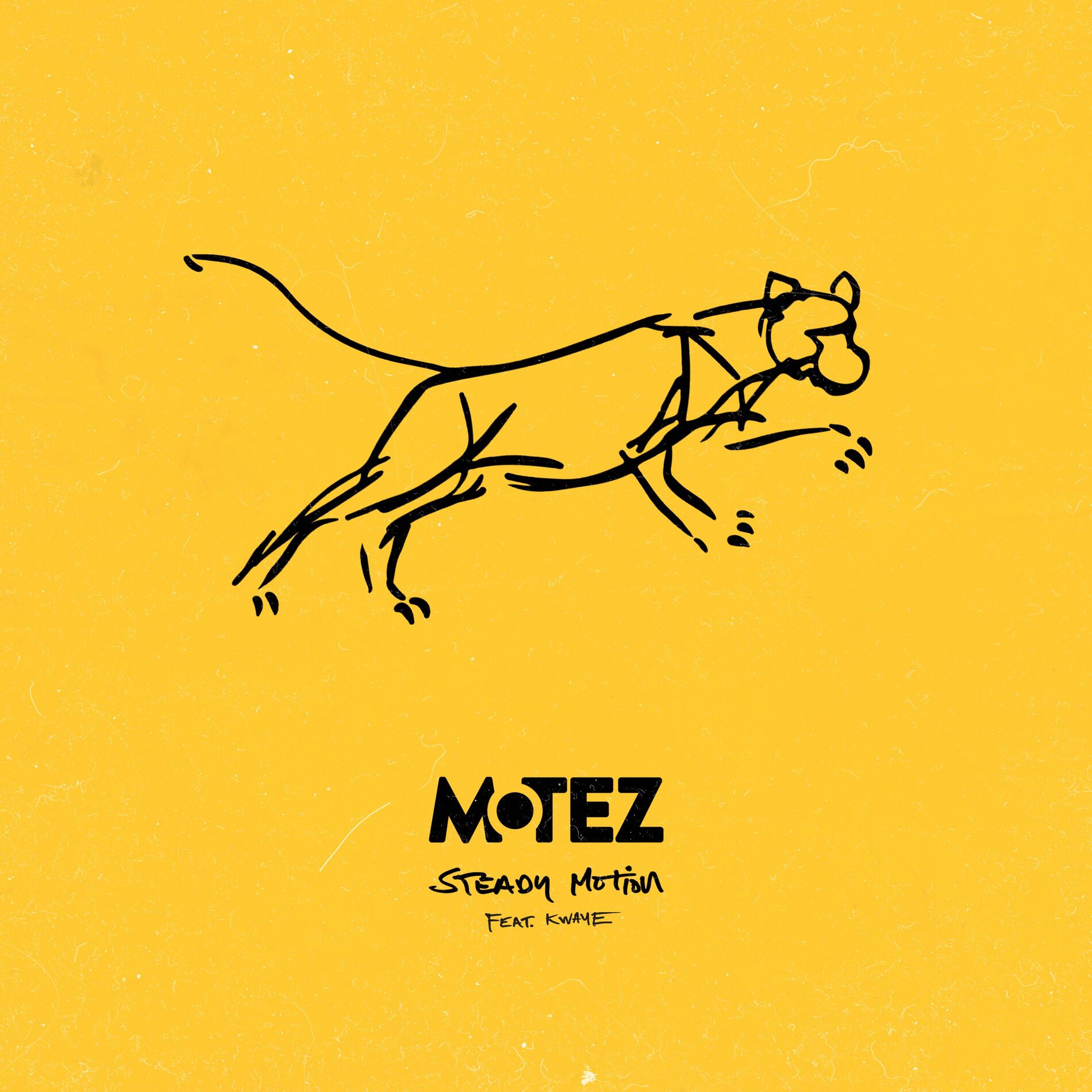 Album cover of Steady Motion