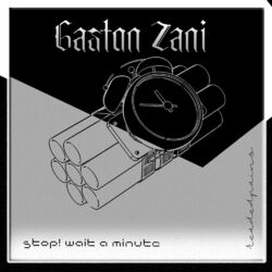 Cover of Stop! Wait A Minute
