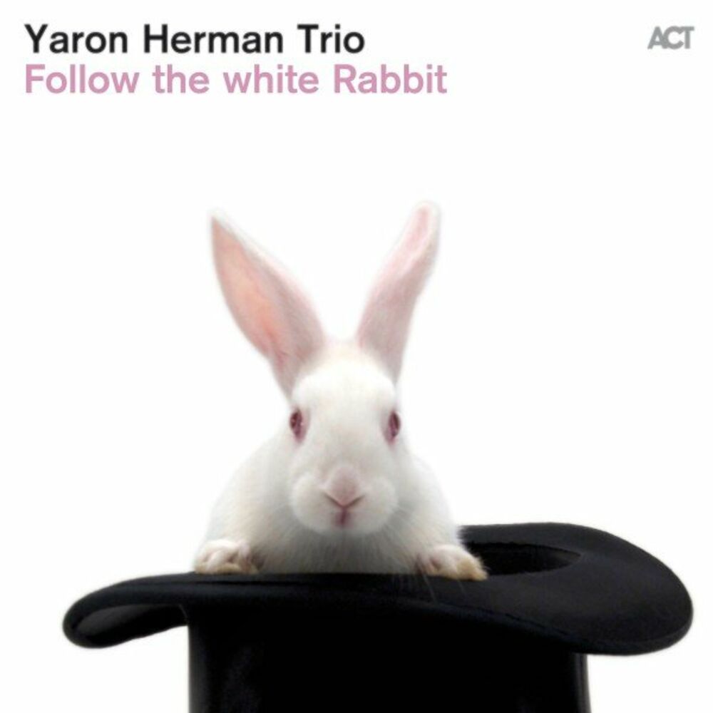 Picture of Follow the White Rabbit