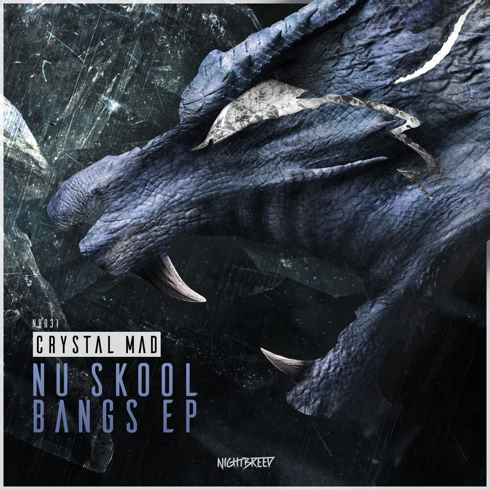 Picture of Nu Skool Bangs EP