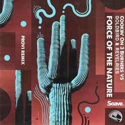 Pochette album