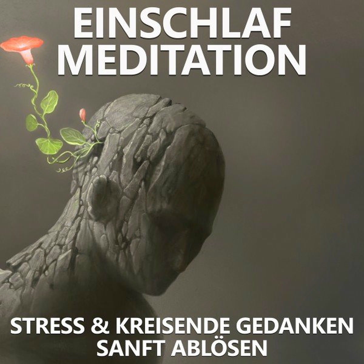 Album cover of Einschlafmeditation - Stress und kreisende Gedanken sanft ablösen