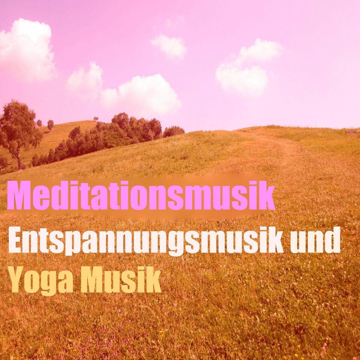 Album cover of Meditationsmusik (Entspannungsmusik und Yoga Musik Collection)