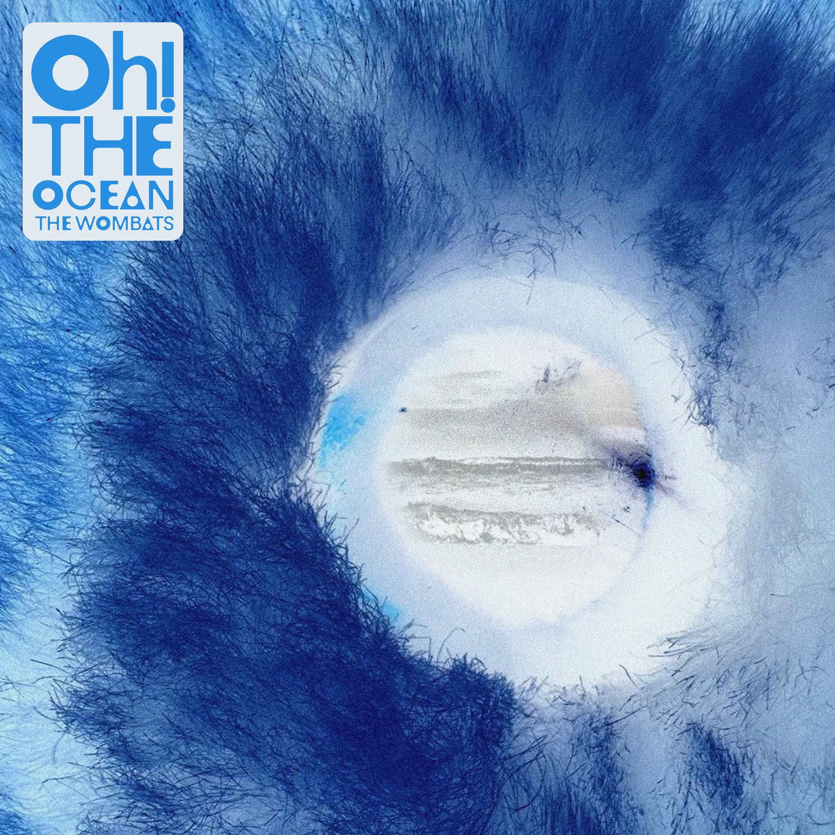 Album cover of Oh! The Ocean: X-Rated