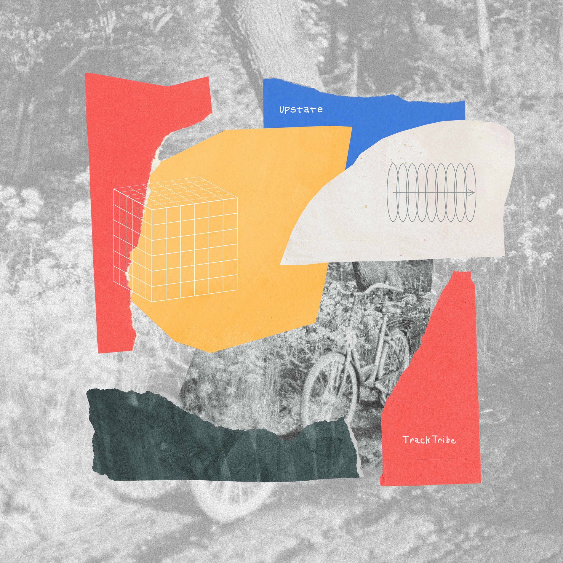 Album cover of Upstate