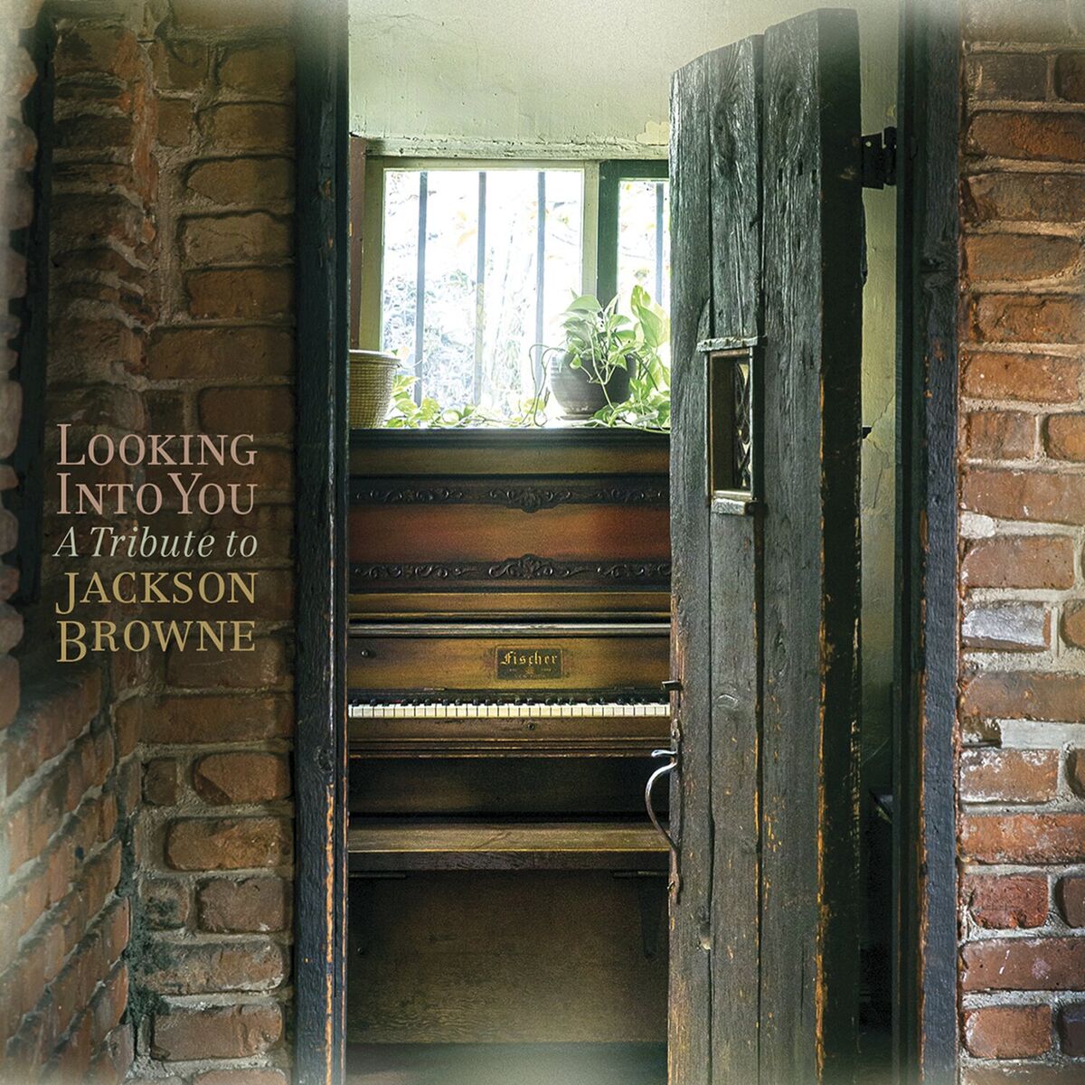 Album cover of Looking into You: A Tribute to Jackson Browne