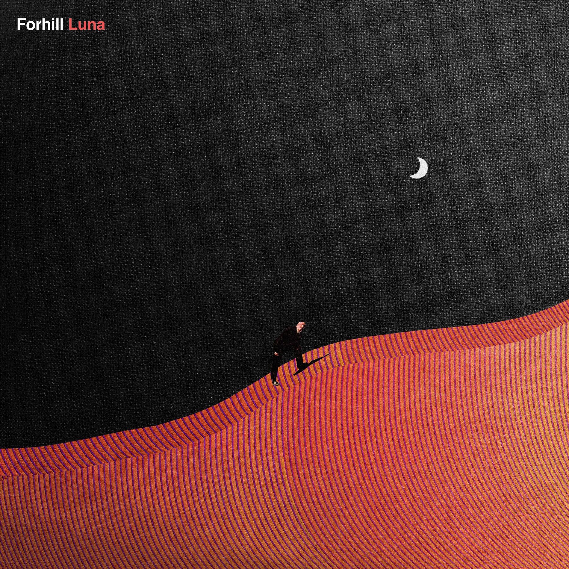 Album cover of Luna