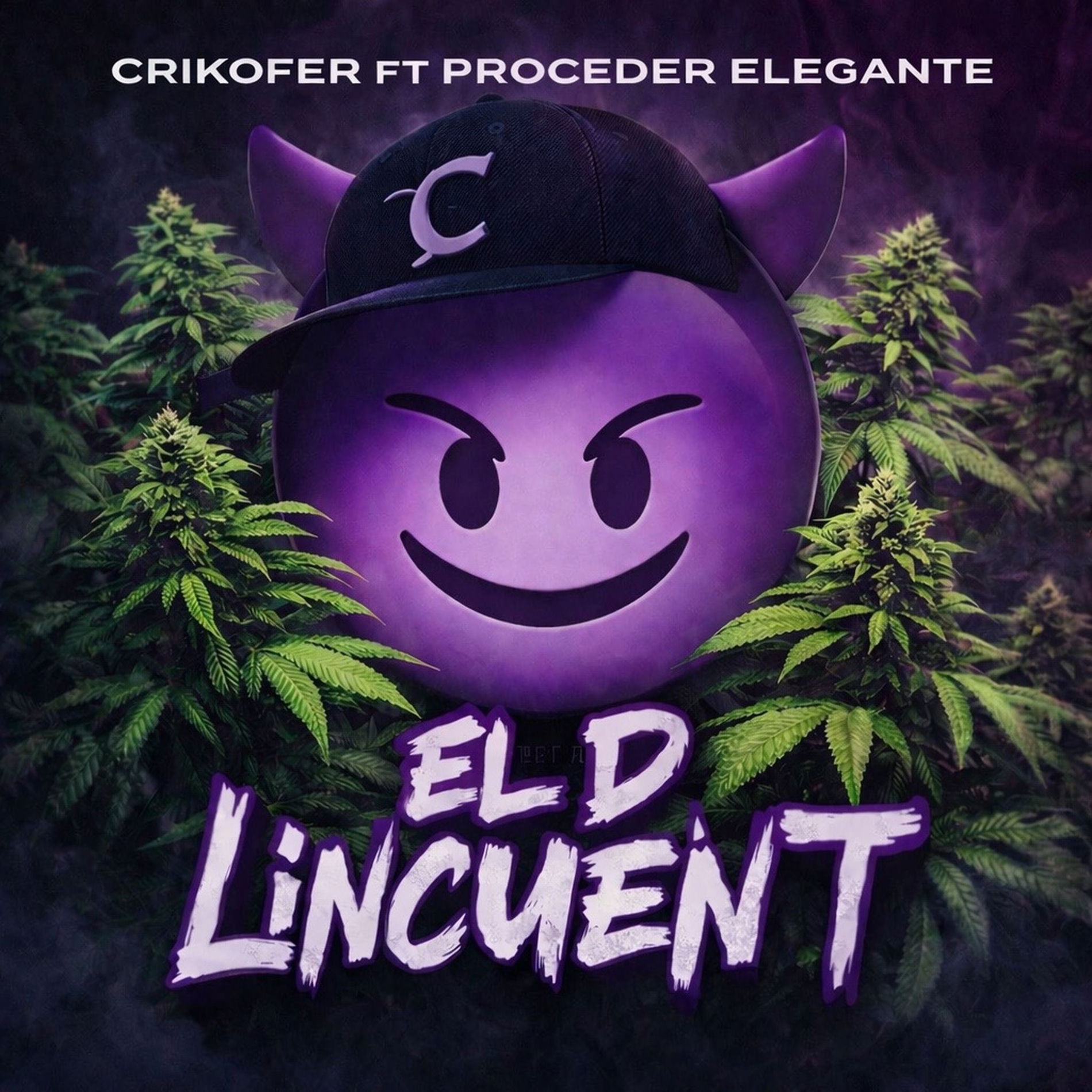Album cover of El D Lincuent
